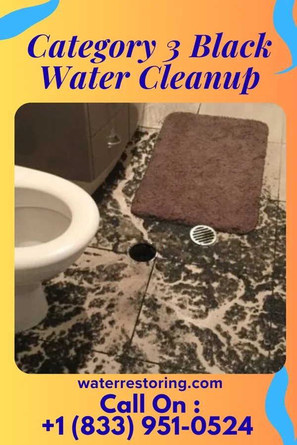 Category 3 Black Water Cleanup in Beachwood, OH