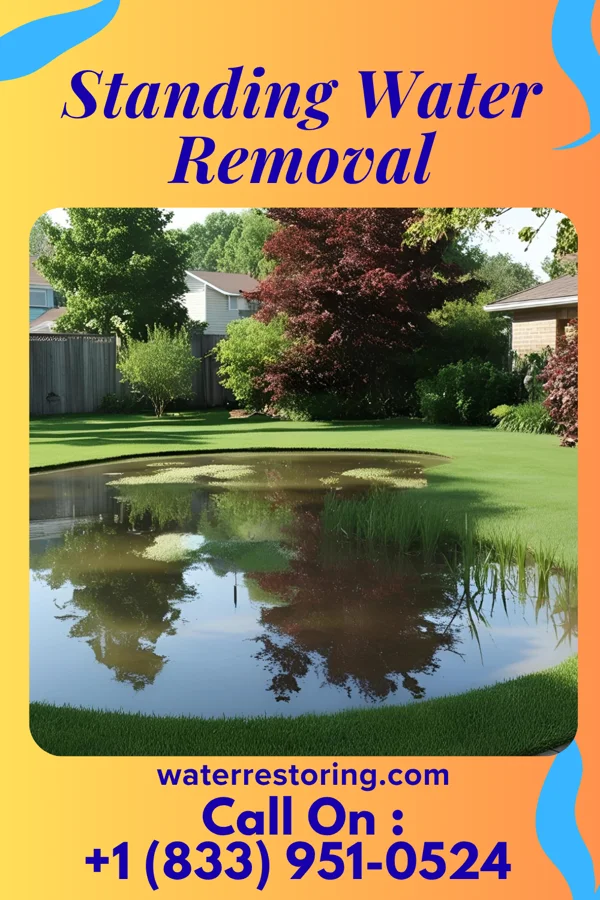 Standing Water Removal in Beachwood, OH
